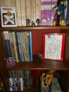 NUESTRAS COLECCIONES: HOY LA COLECCION DE MOISES