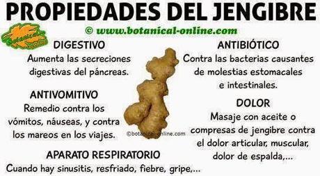 Té de Jengibre / 생강차