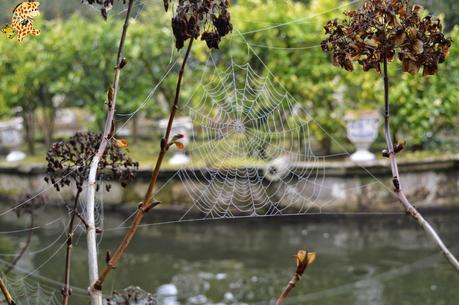 A Estrada, mucho más que A Rapa das Bestas