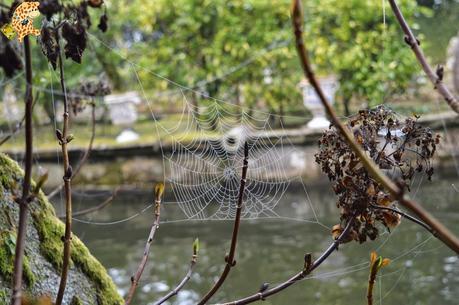 A Estrada, mucho más que A Rapa das Bestas A Estrada, mucho más que A Rapa das Bestas
