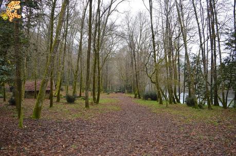 A Estrada, mucho más que A Rapa das Bestas A Estrada, mucho más que A Rapa das Bestas