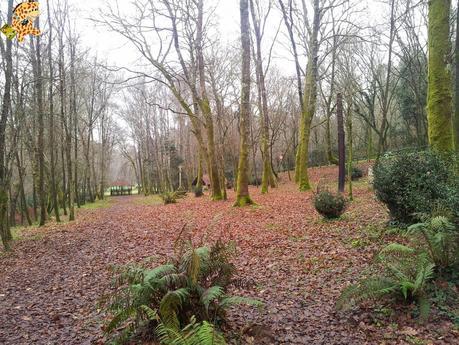 A Estrada, mucho más que A Rapa das Bestas A Estrada, mucho más que A Rapa das Bestas