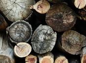 Ideas para almacenar madera: Leñeros.