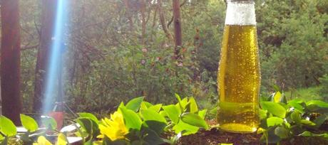 El vidrio impulsa soluciones innovadoras