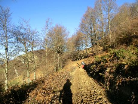 Por los mayaos de Felechosa(y II)