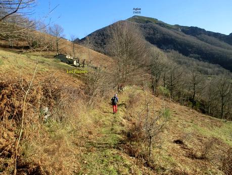 Por los mayaos de Felechosa(y II)