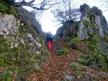 Por los mayaos de Felechosa(y II)