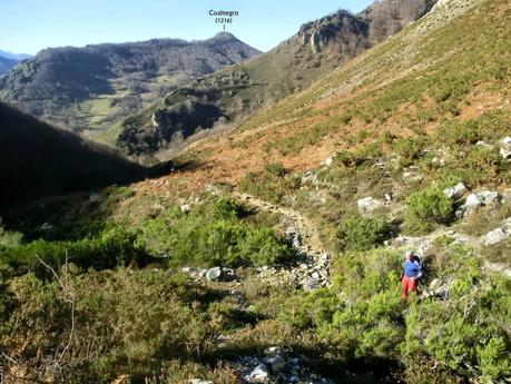 Por los mayaos de Felechosa(y II)