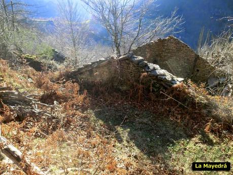 Por los mayaos de Felechosa(y II)