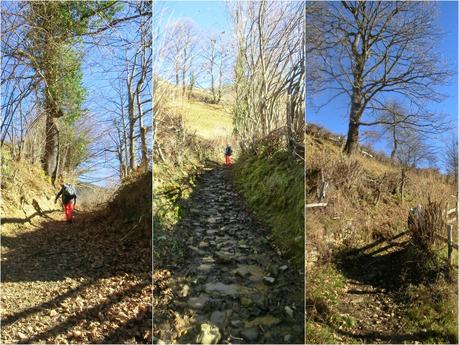 Por los mayaos de Felechosa(y II)