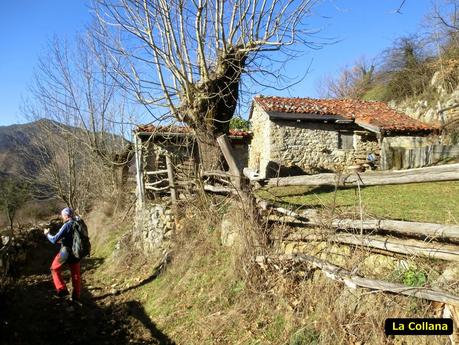 Por los mayaos de Felechosa(y II)
