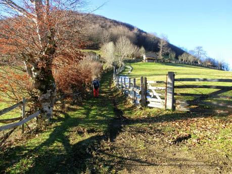 Por los mayaos de Felechosa(y II)