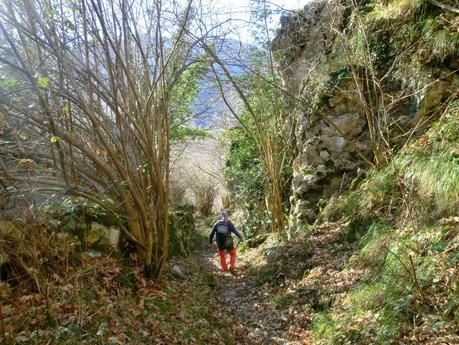Por los mayaos de Felechosa(y II)