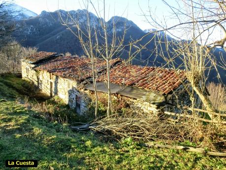 Por los mayaos de Felechosa(y II)