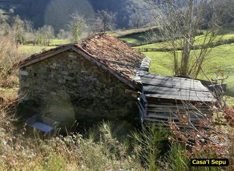 Por los mayaos de Felechosa(y II)