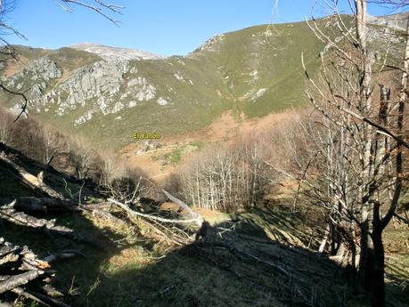 Por los mayaos de Felechosa(y II)