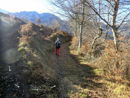 Por los mayaos de Felechosa(y II)