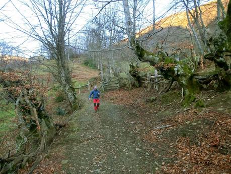 Por los mayaos de Felechosa(y II)