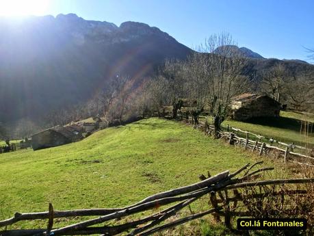 Por los mayaos de Felechosa(y II)