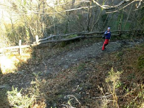 Por los mayaos de Felechosa(y II)