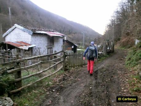 Por los mayaos de Felechosa(y II)