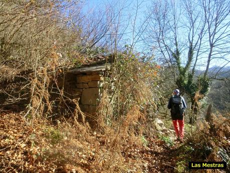 Por los mayaos de Felechosa(y II)