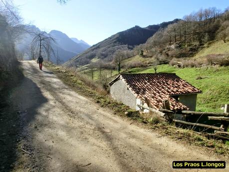 Por los mayaos de Felechosa(y II)