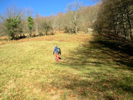 Por los mayaos de Felechosa(y II)