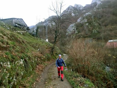 Por los mayaos de Felechosa(y II)