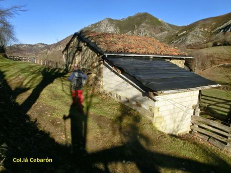 Por los mayaos de Felechosa(y II)