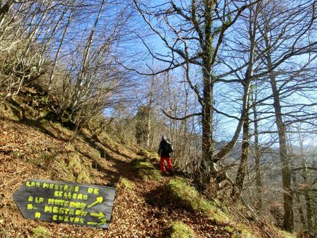 Por los mayaos de Felechosa(y II)