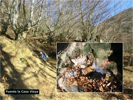 Por los mayaos de Felechosa(y II)