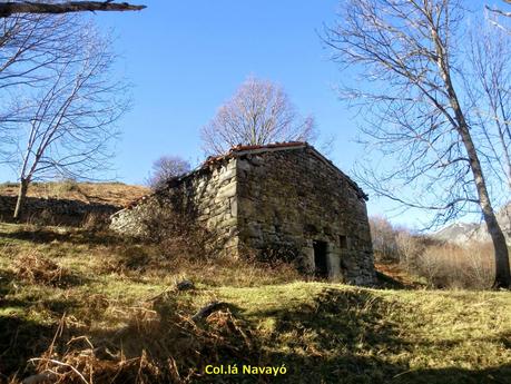Por los mayaos de Felechosa(y II)
