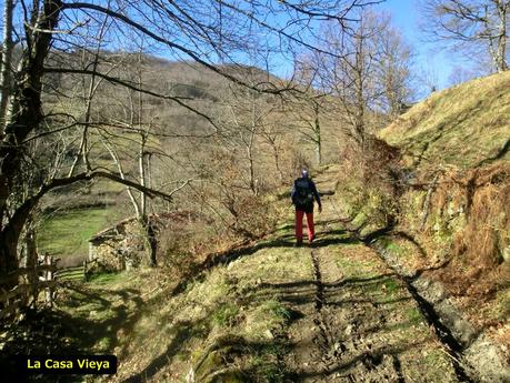 Por los mayaos de Felechosa(y II)