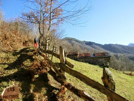 Por los mayaos de Felechosa(y II)