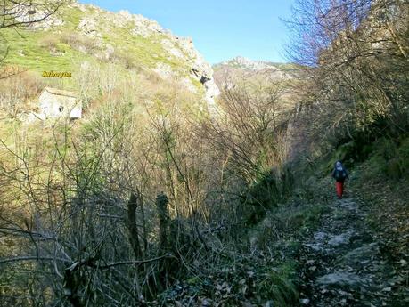 Por los mayaos de Felechosa(y II)