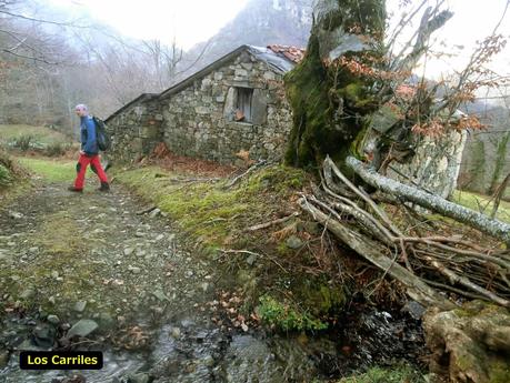 Por los mayaos de Felechosa(y II)