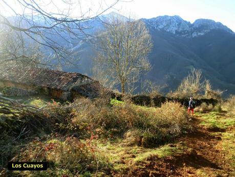 Por los mayaos de Felechosa(y II)