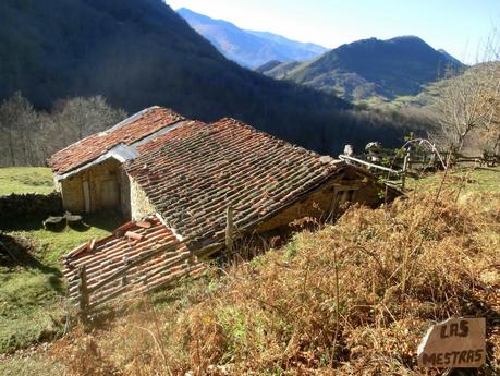 Por los mayaos de Felechosa(y II)