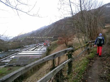 Por los mayaos de Felechosa(y II)