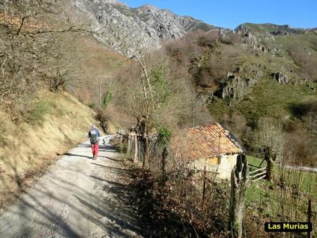Por los mayaos de Felechosa(y II)