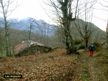 Por los mayaos de Felechosa(y II)