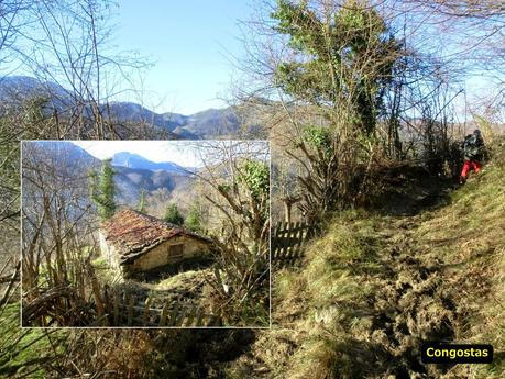 Por los mayaos de Felechosa(y II)