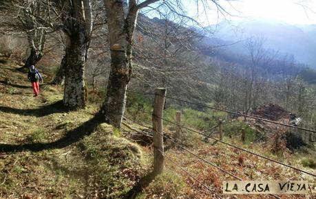 Por los mayaos de Felechosa(y II)