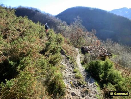 Por los mayaos de Felechosa(y II)