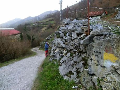 Por los mayaos de Felechosa(y II)
