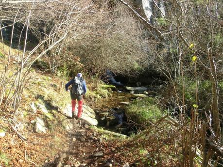 Por los mayaos de Felechosa(y II)