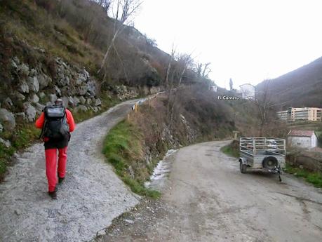 Por los mayaos de Felechosa(y II)