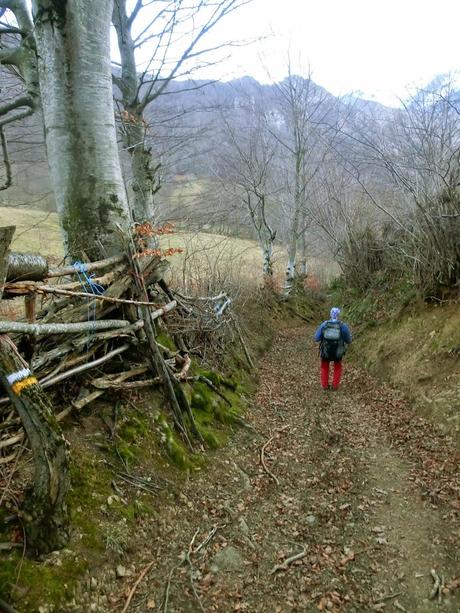 Por los mayaos de Felechosa(y II)