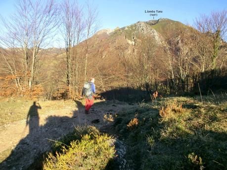 Por los mayaos de Felechosa(y II)